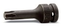 NASADKA UDAROWA 1/2" Z KOŃC. TORX T60 BETA UTENSILI S.P.A